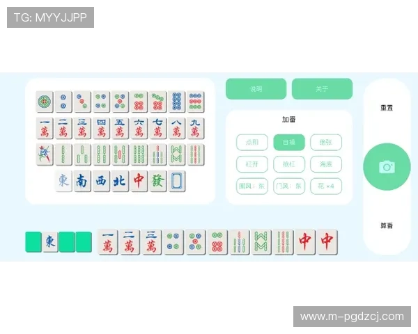 PG麻将胡了开不了声音问题的排查流程与优化建议